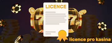 Online Casino pro Českého Hráče Vše, co Potřebujete Vědět