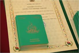 Understanding the Costs of the Republic of Vanuatu Passport
