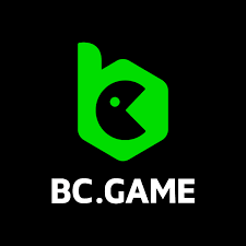 Explore the Exciting Features of the BC Game Mobile App