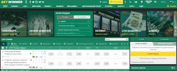 Explore BetWinner Your Ultimate Betting Platform
